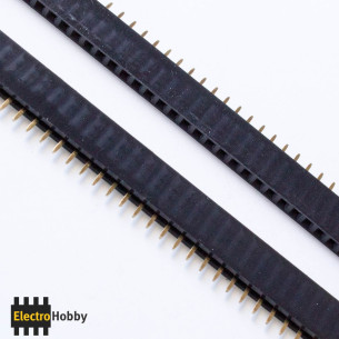 Tira 40 pin hembra 2