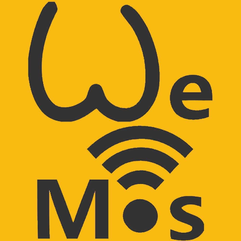 Logotipo categoría WEMOS